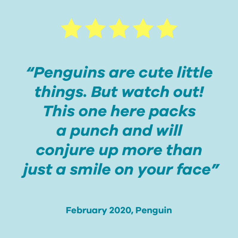 Satisfyer Penguin Customer Review